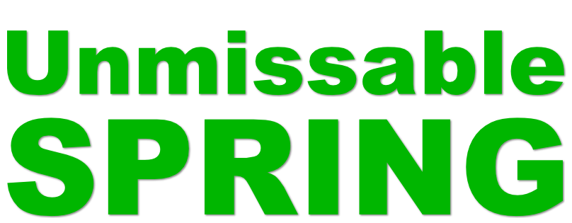 Image is not available